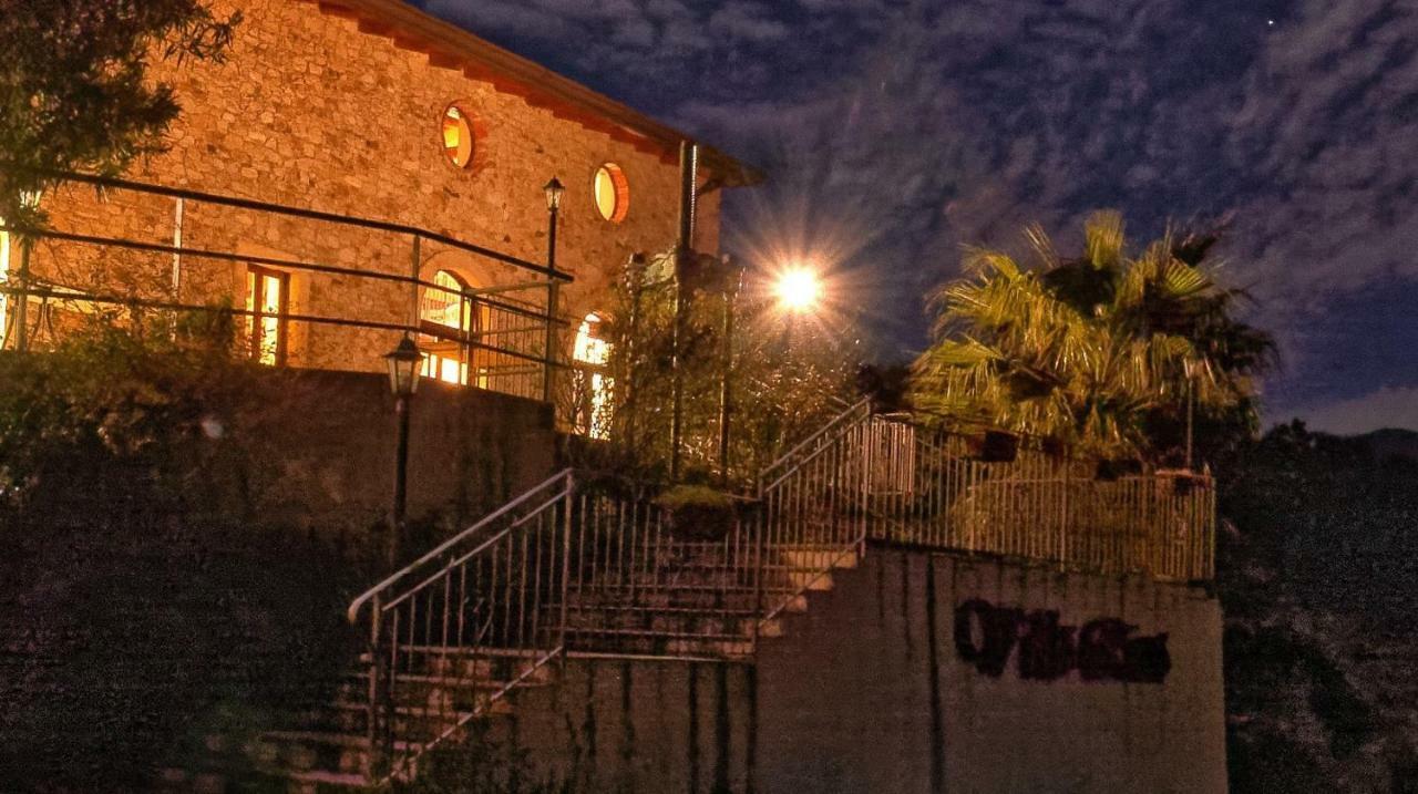 פאטי Villa Rica מראה חיצוני תמונה